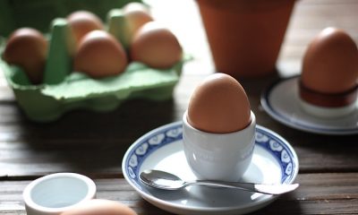 cuiseur-à-œuf